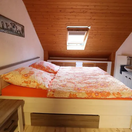Ferienwohnungen Haus Hees Todtnau Værelse billede