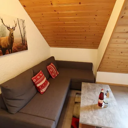 Ferienwohnungen Haus Hees Todtnau Værelse billede