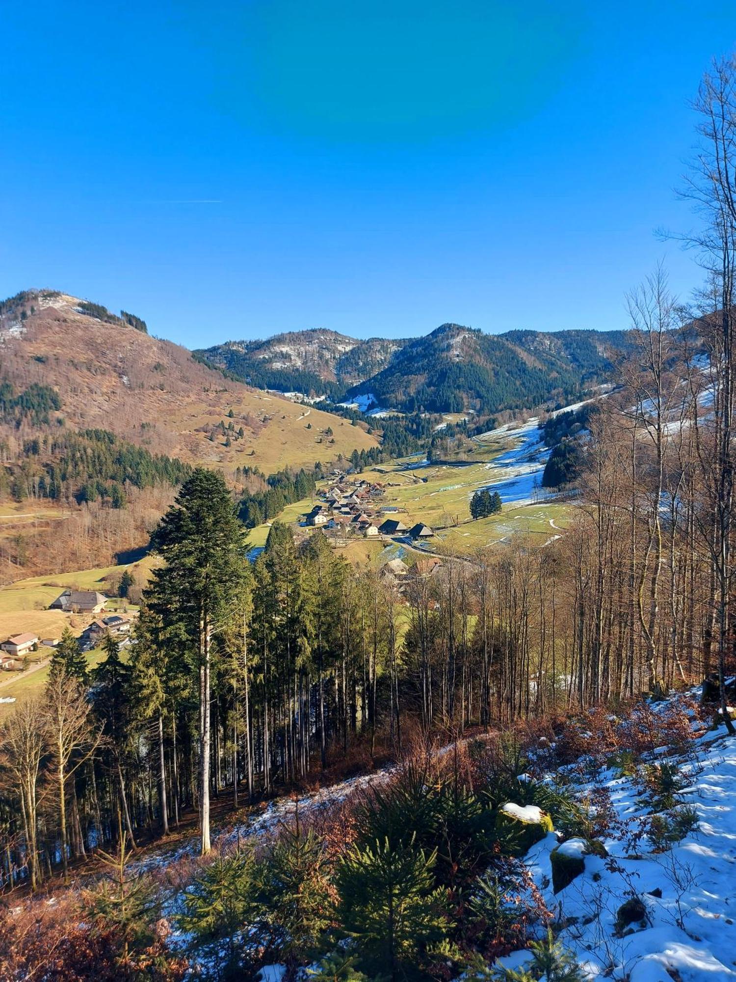Appartement Haus Hees Todtnau